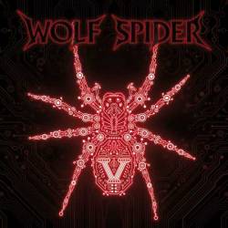 Wolf Spider : V